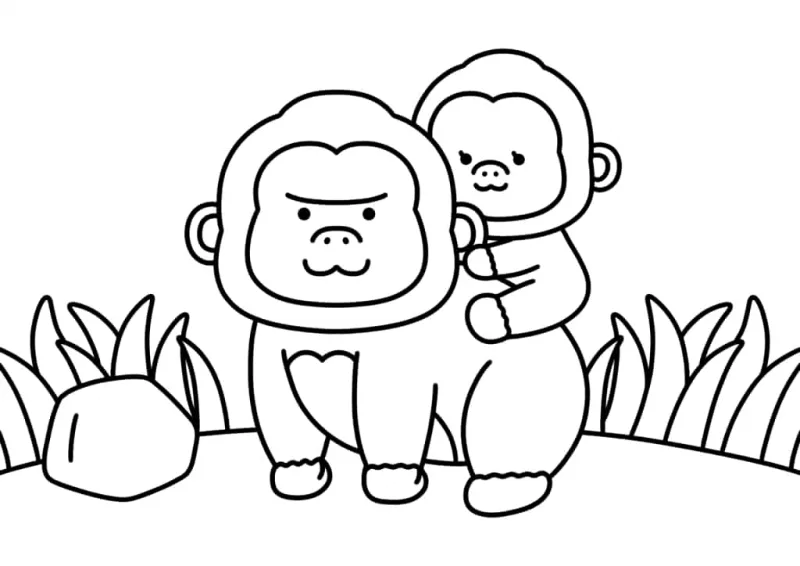 Macacos
