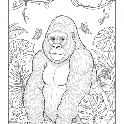 Macacos
