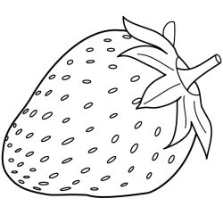 Morango