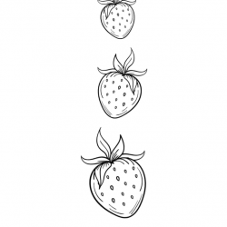 Morango