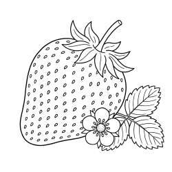 Morango