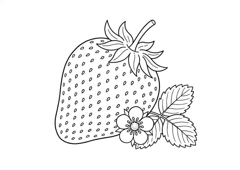 Morango