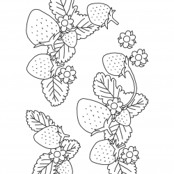 Morango