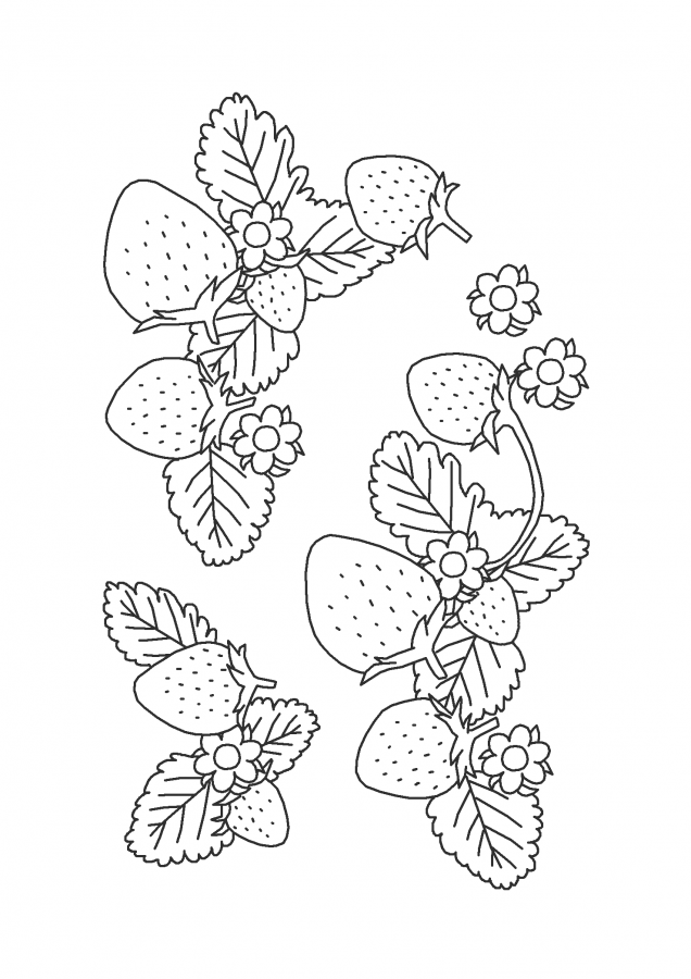 Morango