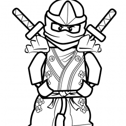 Ninja