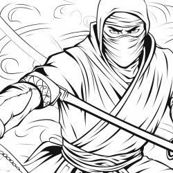 Ninja
