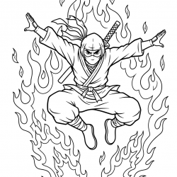 Ninja
