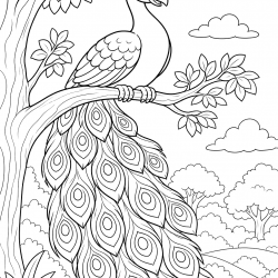 Pavão para imprimir e colorir