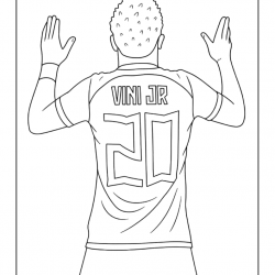 Vini Jr