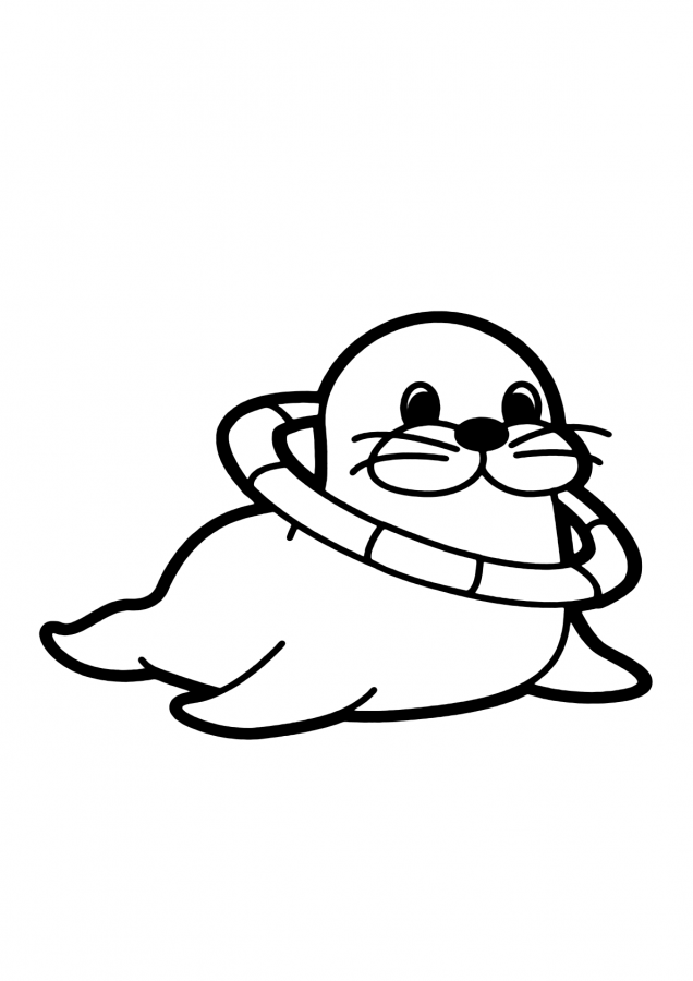 Foca