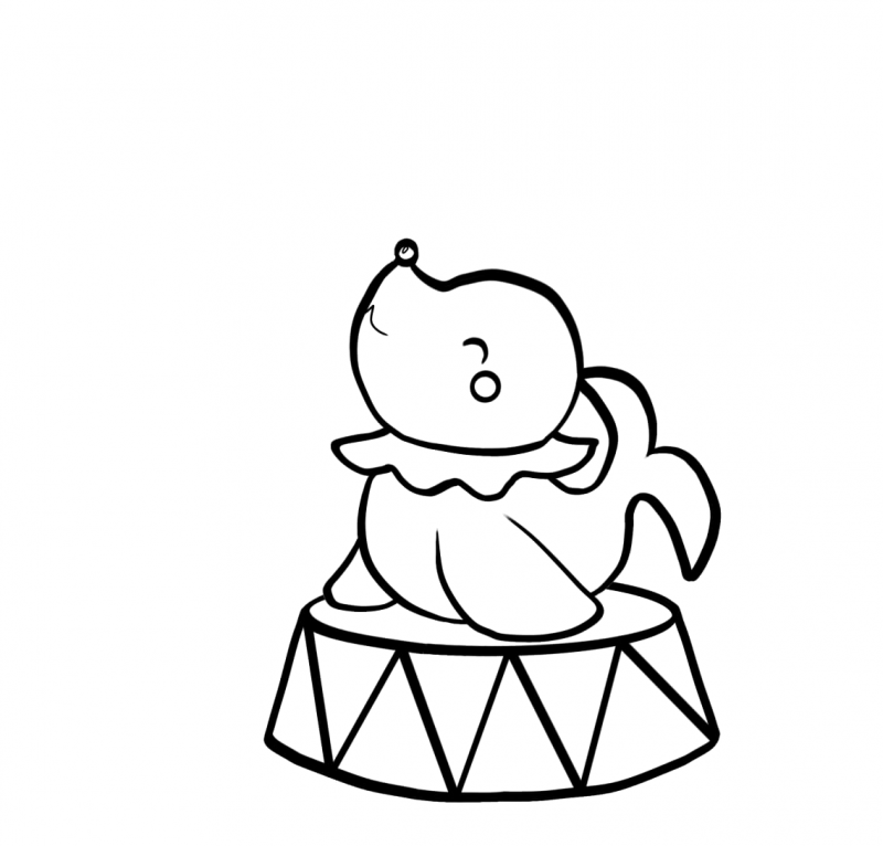 Foca