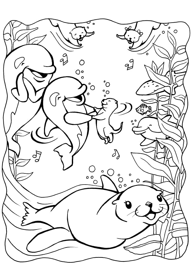 Foca