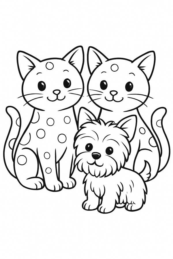 Gatos