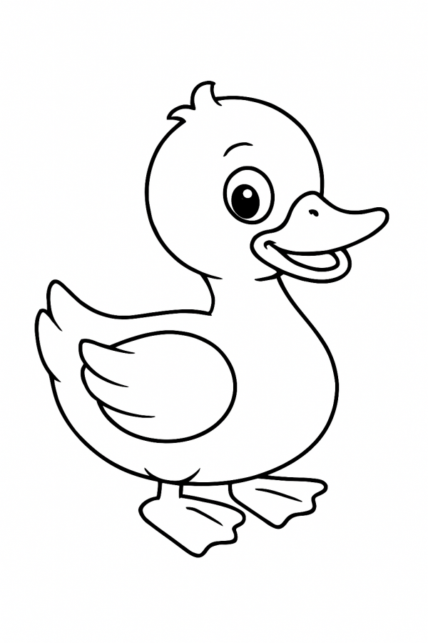 Patinhos