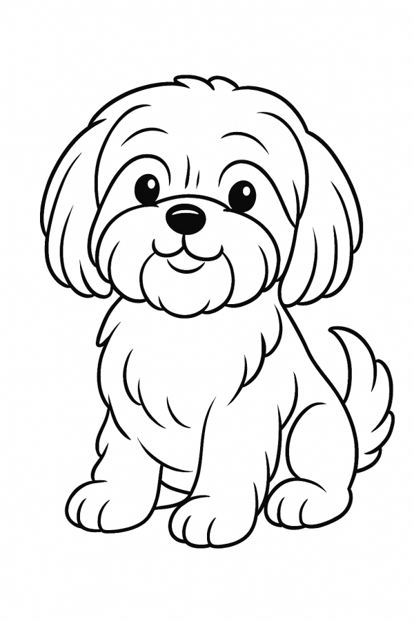 Cachorros