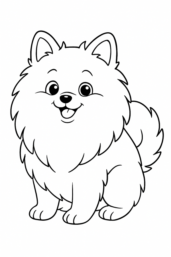 Cachorros