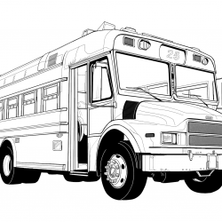 Ônibus