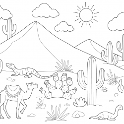 Paisagens