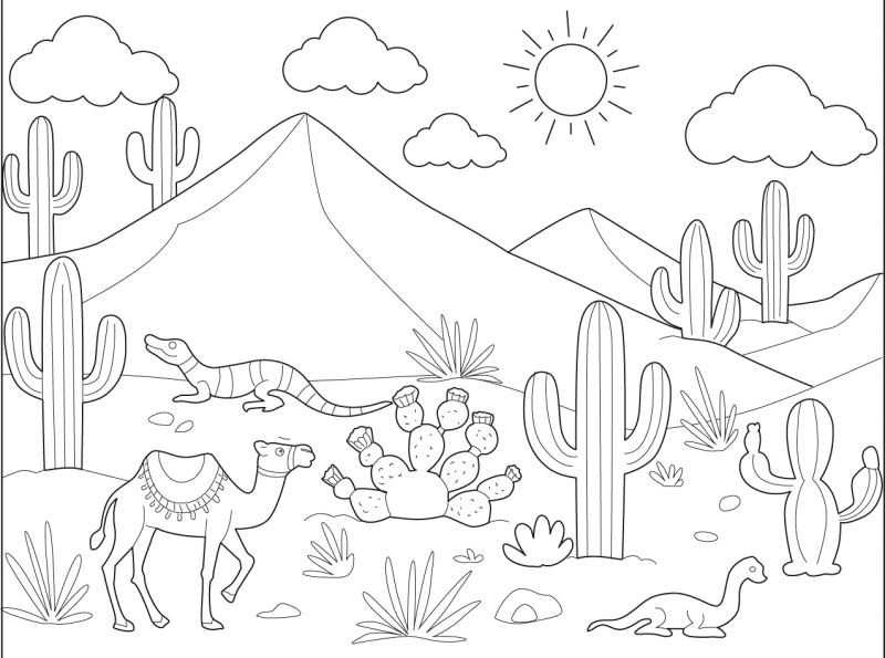 Paisagens