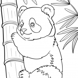 Panda para imprimir e colorir