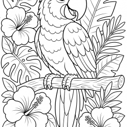 desenho de Papagaio