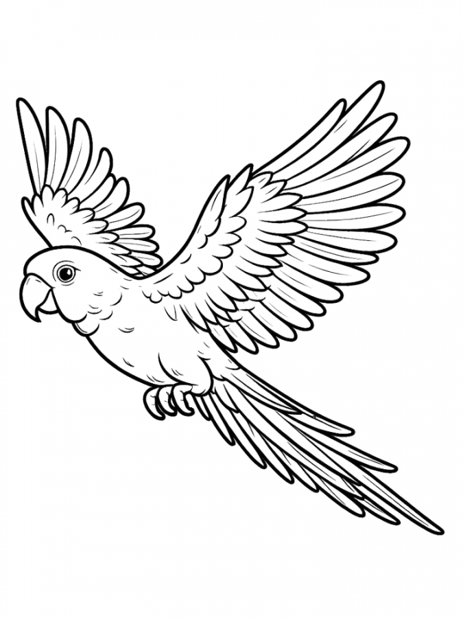 Papagaio