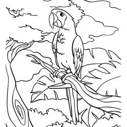 Papagaio