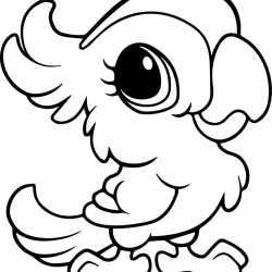 Papagaio