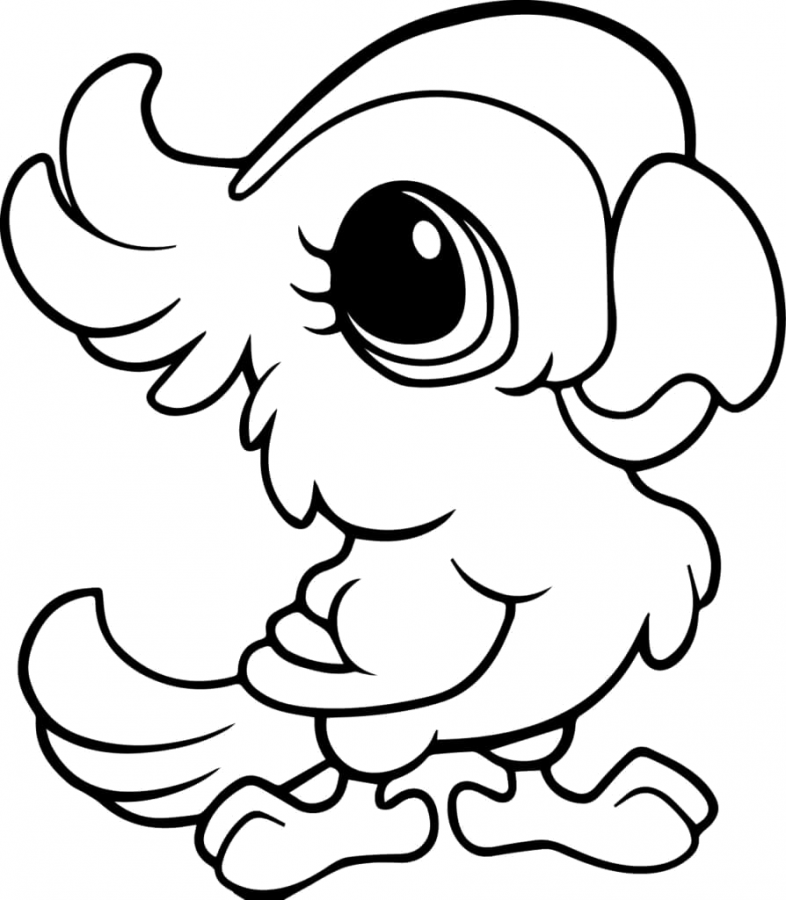 Papagaio
