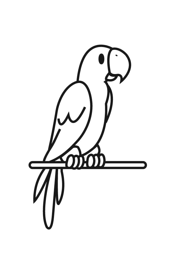 Papagaio