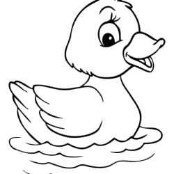 Patinhos