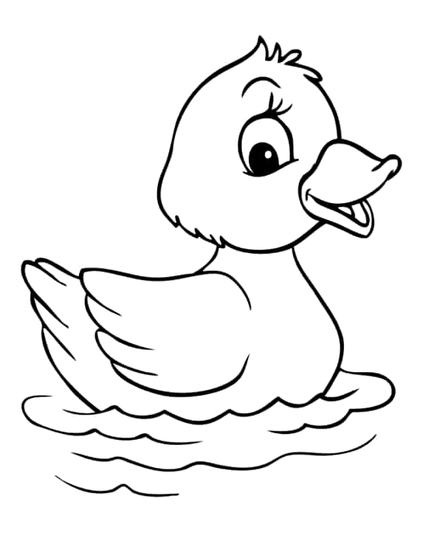 Patinhos