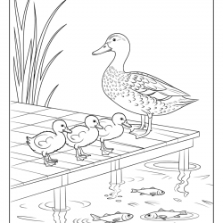 Patinhos para imprimir e colorir