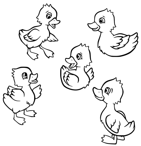 Patinhos