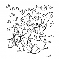Pato Donald para imprimir e colorir