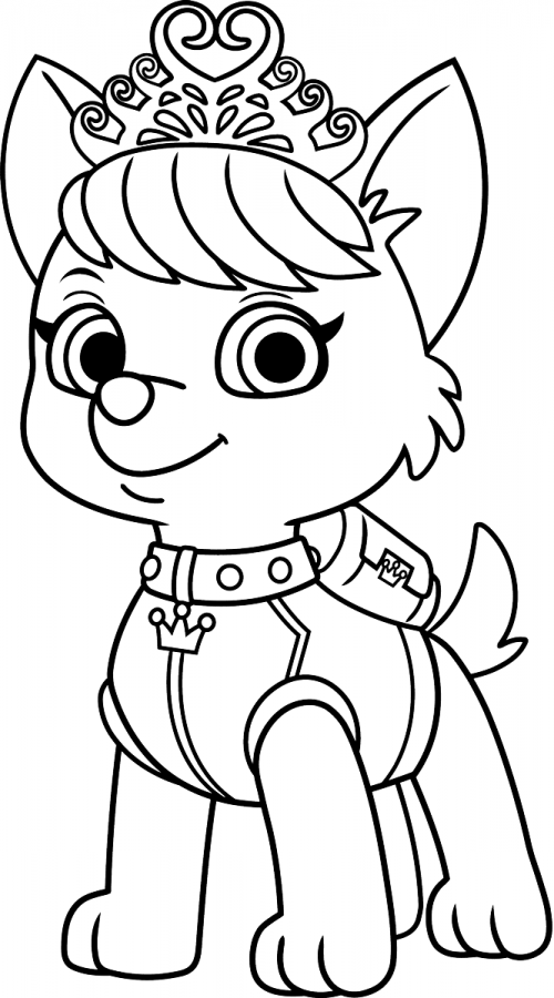 Patrulha Canina