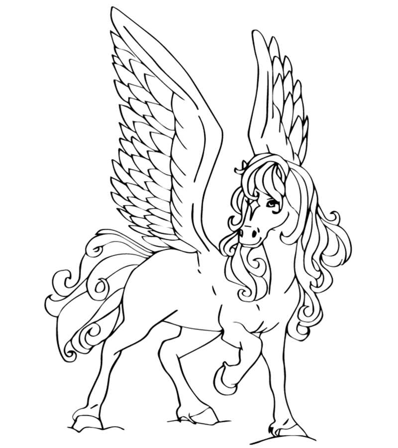 Pegasus