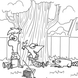 Phineas e Ferb