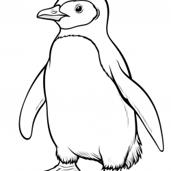 Pinguins para imprimir e colorir