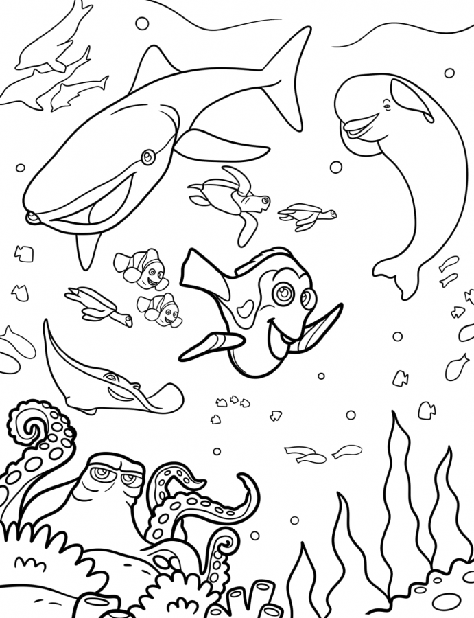 Procurando Nemo