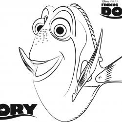 Procurando Nemo