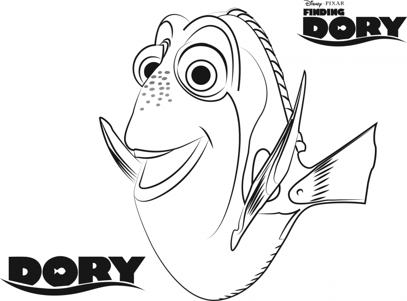 Procurando Nemo