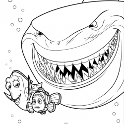Procurando Nemo