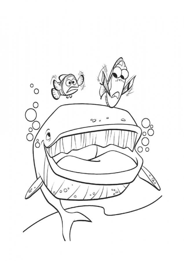 Procurando Nemo