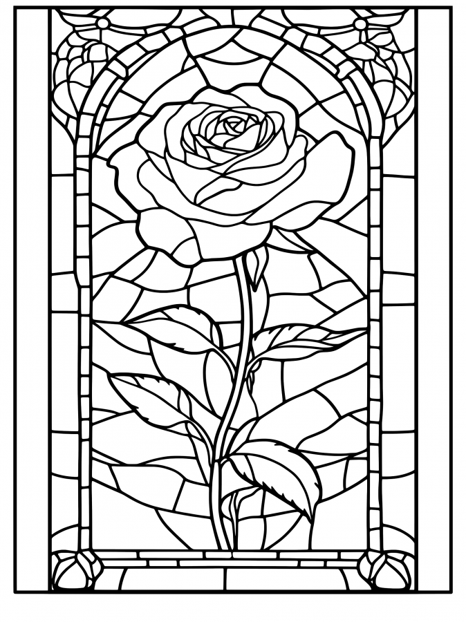Rosa