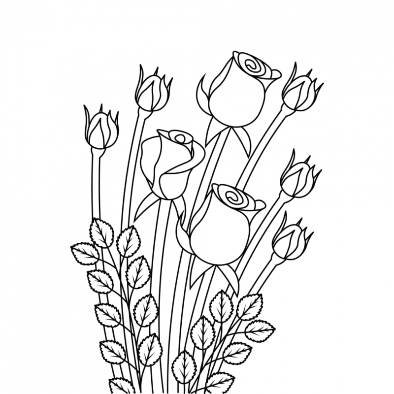 Rosa