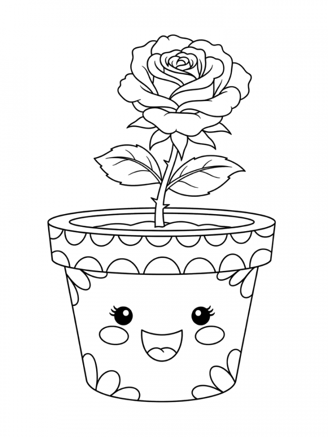 Rosa