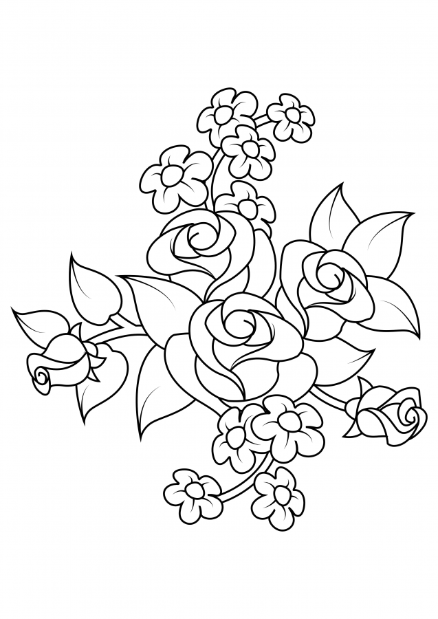 Rosa