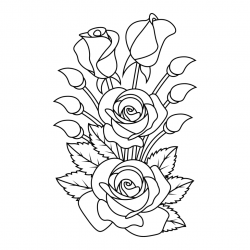 Rosa