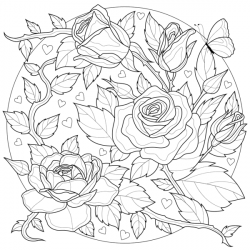 Rosa